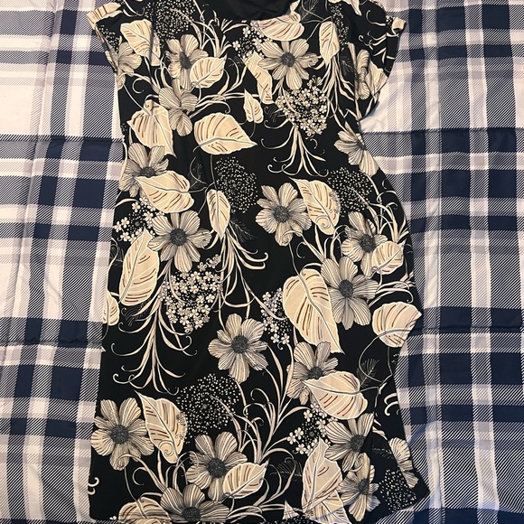 Robbie Bee Black and Cream Floral Mini Dress - Picture 1 of 2